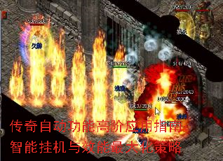 Զܸ߽ӦָϣܹһЧ󻯲