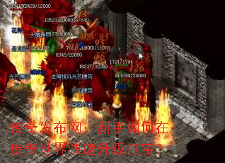 淢ڴ򱦣