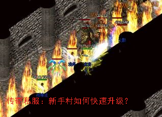 ˽ִο