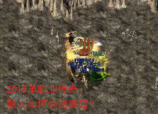 2018ְҵ棺ɢο