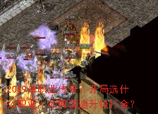 2019ְҵ棺ѡʲôְҵο