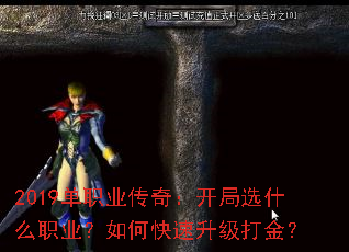 2019ְҵ棺ѡʲôְҵο