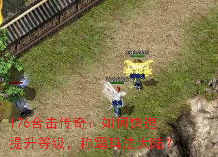 176ϻ棺οȼư귨½