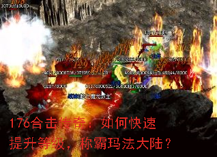 176ϻ棺οȼư귨½