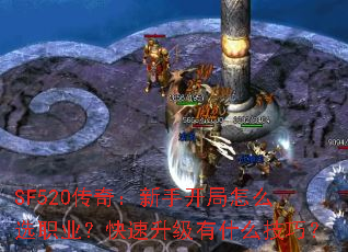 SF520棺ֿôѡְҵʲôɣ