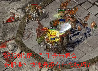 SF520棺ֿôѡְҵʲôɣ