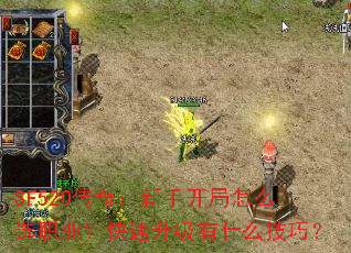 SF520棺ֿôѡְҵʲôɣ