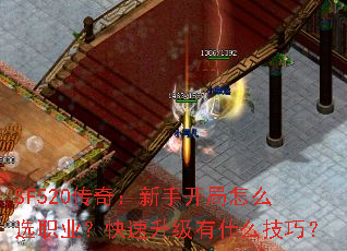 SF520棺ֿôѡְҵʲôɣ