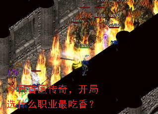 棬ѡʲôְҵ㣿