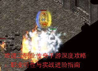ְҵȹԣְҵʵսָ