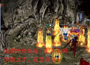 Ѵ˽ο֣ȿӣ