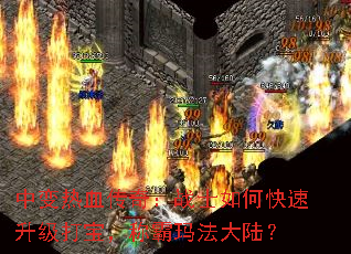 бѪ棺սʿο򱦣ư귨½
