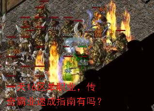 һ16ְҵҵٳָ