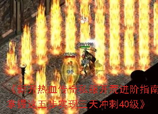 ¿Ѫ˽Ľָϣ岽ʵ40