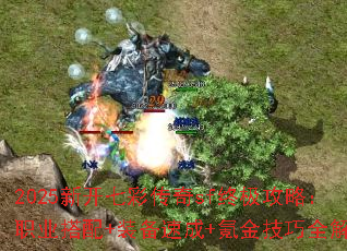 2025¿߲ʴsfռԣְҵ+װٳ+봽ȫ