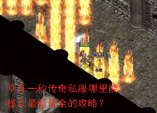 տһ봫˽ҵȫĹԣ