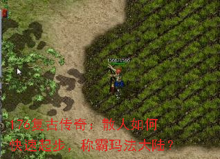 176Ŵ棺ɢο𲽣ư귨½
