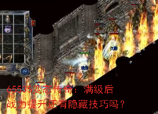 65535̬棺սؼ