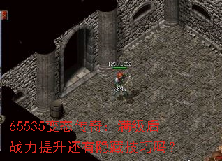 65535̬棺սؼ