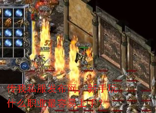 ˽ʲôְҵ֣