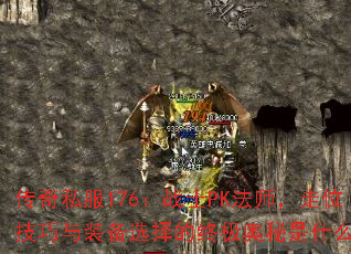 ˽176սʿPKʦλװѡռʲô