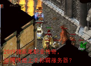 2019ҵְҵ棬οֳưԷ