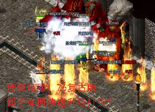 ˽1.76Ű棺ο򱦣