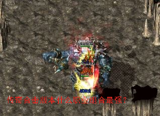 ϻ汾ʲôְҵǿ