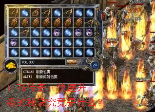 1.76棺ؾʲô