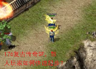 176ŴSFɢο𲽣