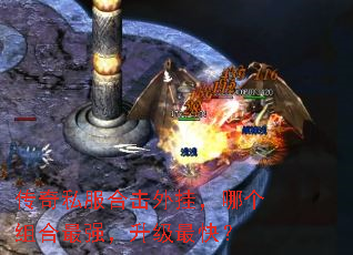 ˽ϻңĸǿ죿