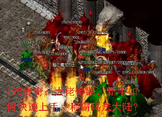 195棺д·ο֣ư귨½