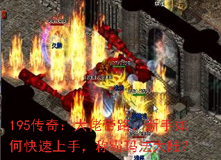 195棺д·ο֣ư귨½