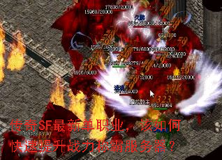 SFµְҵοսưԷ