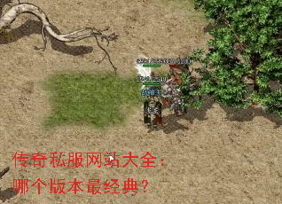 ˽վȫĸ汾䣿