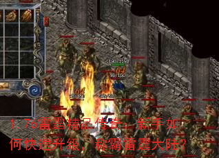 1.76Ʒ棺οư½