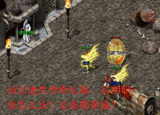 ɽʧ˽ְҵôѡװ㣿