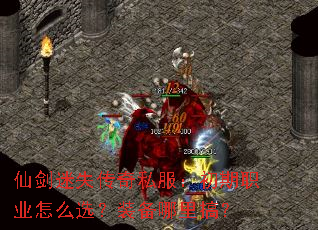 ɽʧ˽ְҵôѡװ㣿