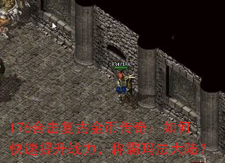 176ϻŽҴ棺οսư귨½