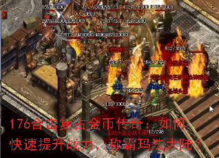 176ϻŽҴ棺οսư귨½