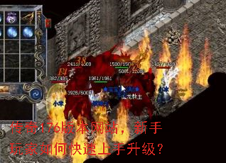 176汾վο