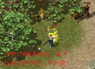 176汾վο