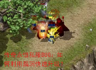 ˽BUG©
