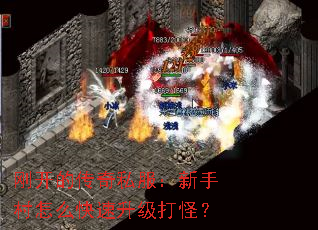 տĴ˽ִô֣