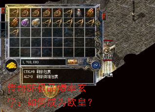 SFƷѧγΪŷʣ