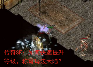 SFοȼư귨½