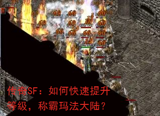 SFοȼư귨½