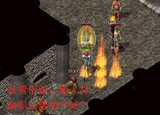 ѩ棺˴ְҵѡĸã