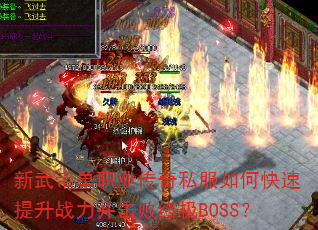 ۵ְҵ˽οսռBOSS