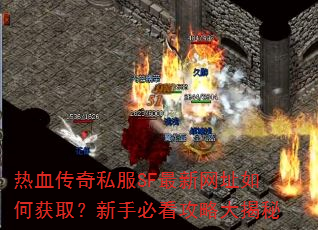 Ѫ˽SFַλȡֱؿԴ